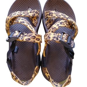 Chaco Leopard 6